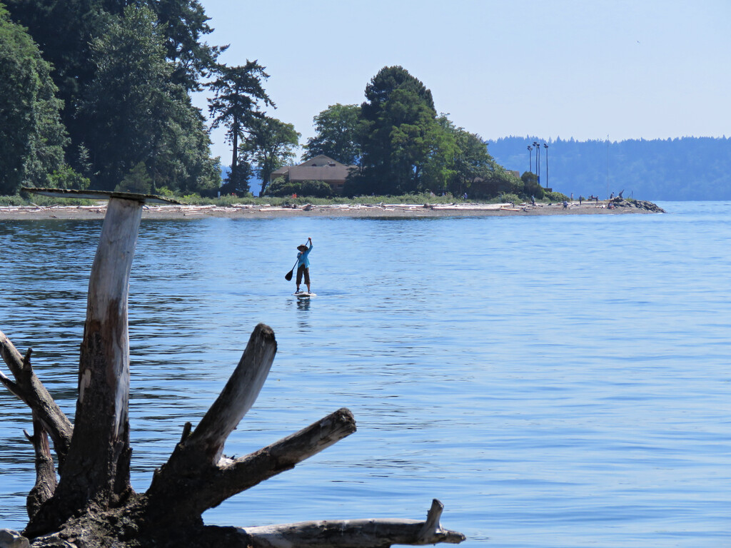 Lone Paddle Boarder by seattlite