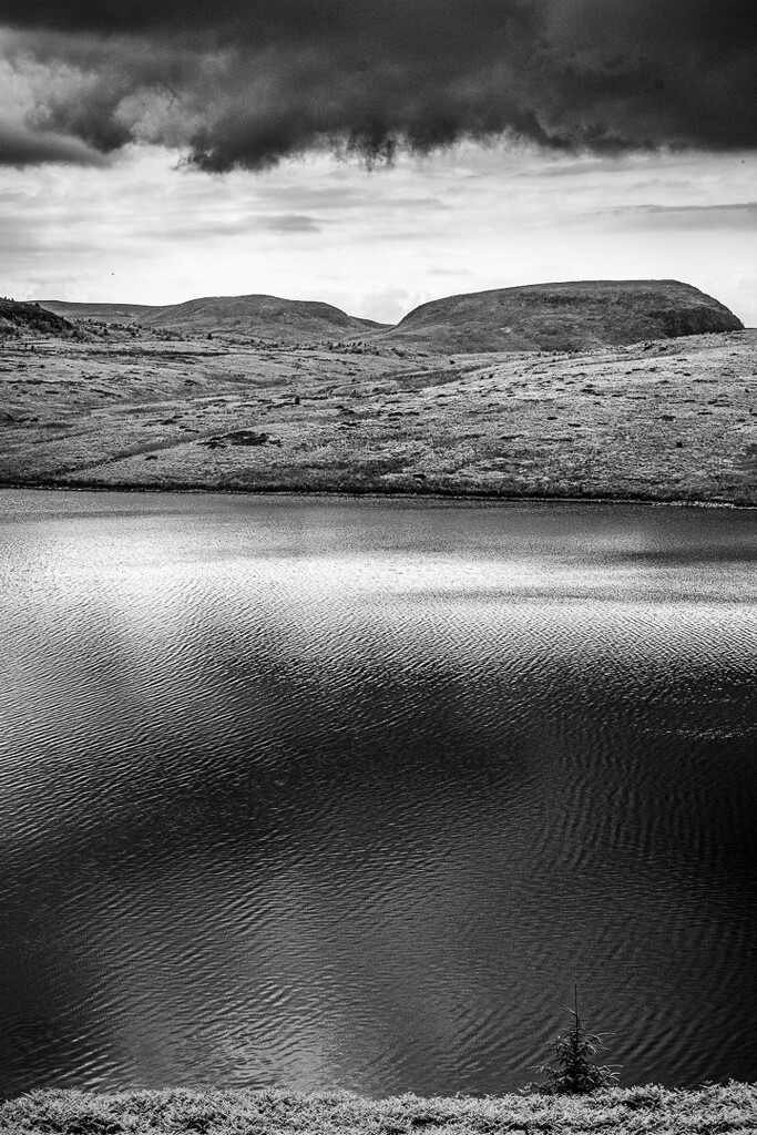Cochno Loch by iqscotland