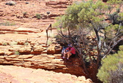 7th Jun 2021 - Under the Shade of a Coolabah Tree