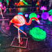 Flamingo.  by cocobella