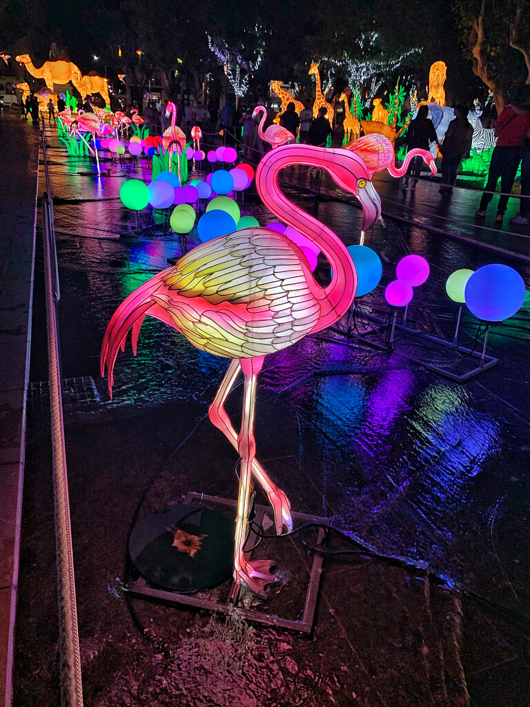Lighted flamingo.  by cocobella