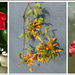 Flower Triptych by onewing