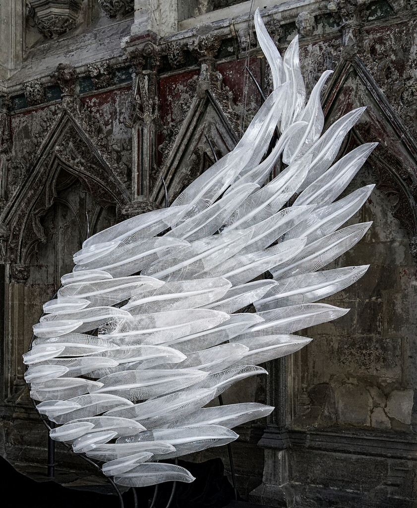 0704 - Glass Angel Wing (Ely Cathedral) by bob65