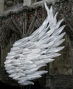 4th Jul 2021 - 0704 - Glass Angel Wing (Ely Cathedral)