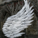 0704 - Glass Angel Wing (Ely Cathedral) by bob65