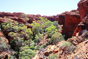 8th Jun 2021 - What a Jumble of Rocks and Trees