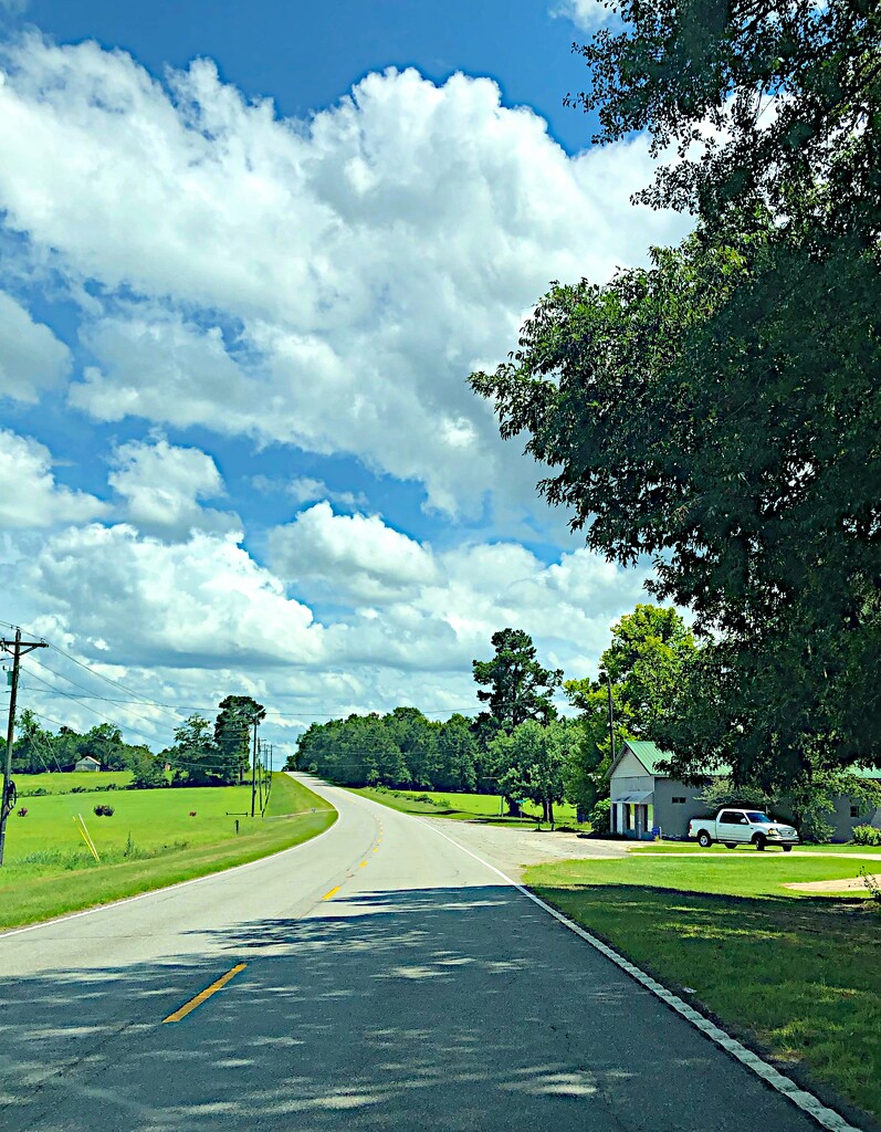 Country road and summer skies by congaree