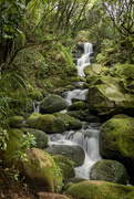 12th Jul 2021 - Henrys Reserve Waterfall