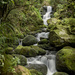 Henrys Reserve Waterfall by nickspicsnz