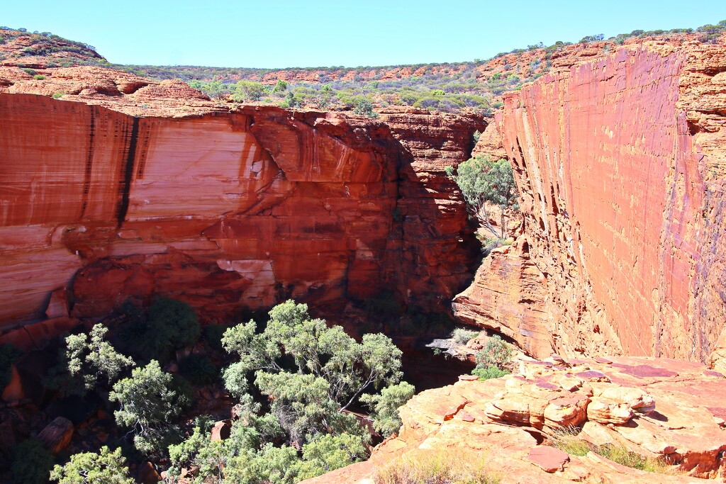 Head of Canyon by terryliv