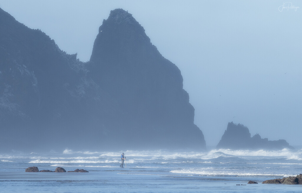 Clam Digger In A Foggy Low Tide  by jgpittenger