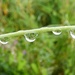 Raindrops by julienne1