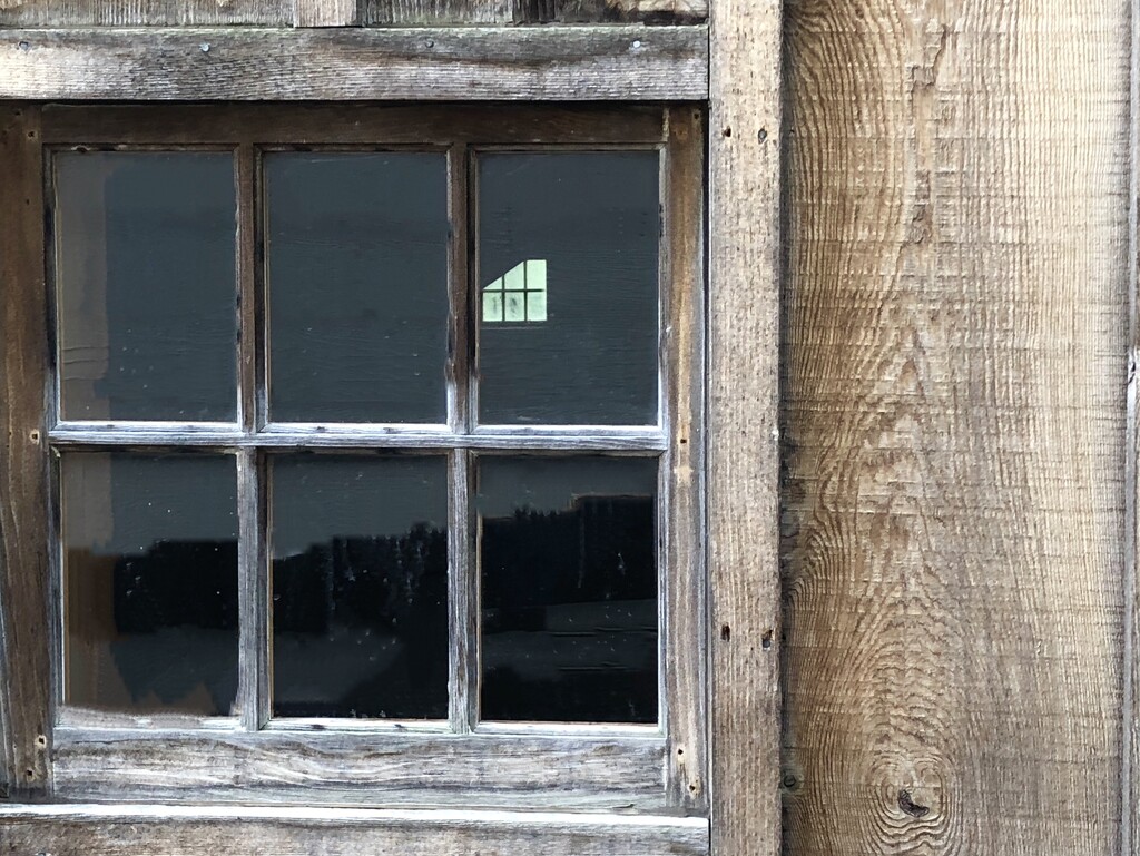 windows by amyk