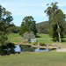 Nelson Bay Golf Club by onewing