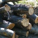 Logs by acolyte