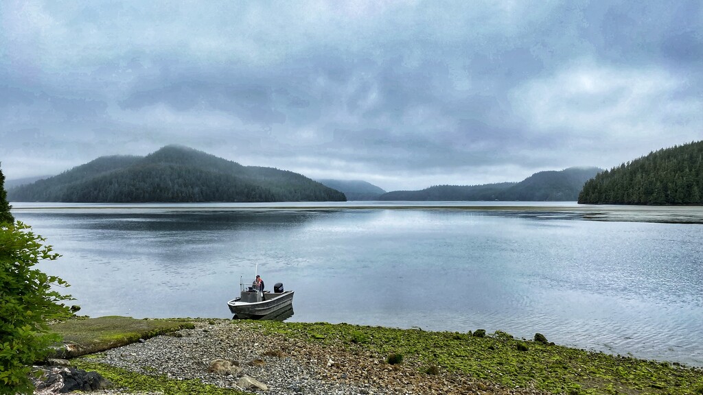Grice Bay by cdcook48