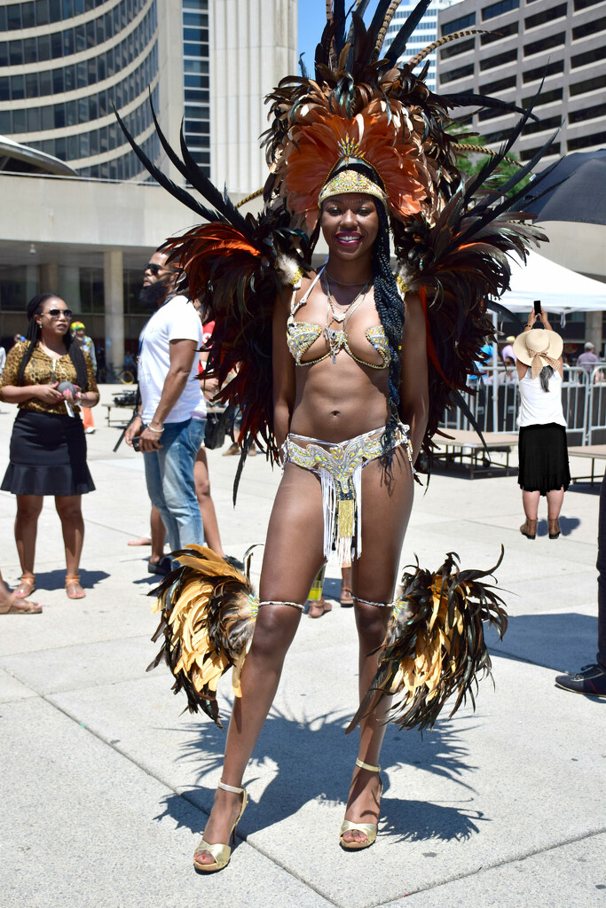 caribbean festival toronto by fiveplustwo