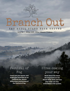 16th Jul 2021 - Branch Out