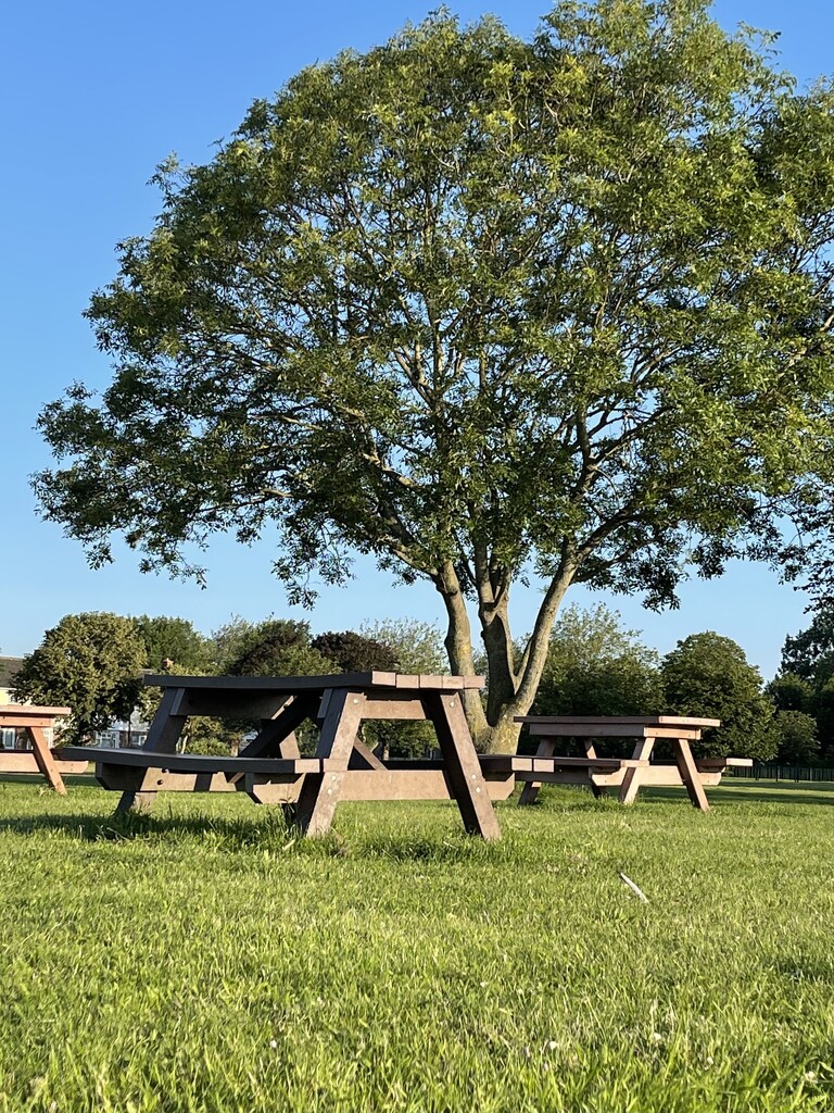 A picnic area in the sun by bill_gk