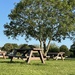 A picnic area in the sun by bill_gk