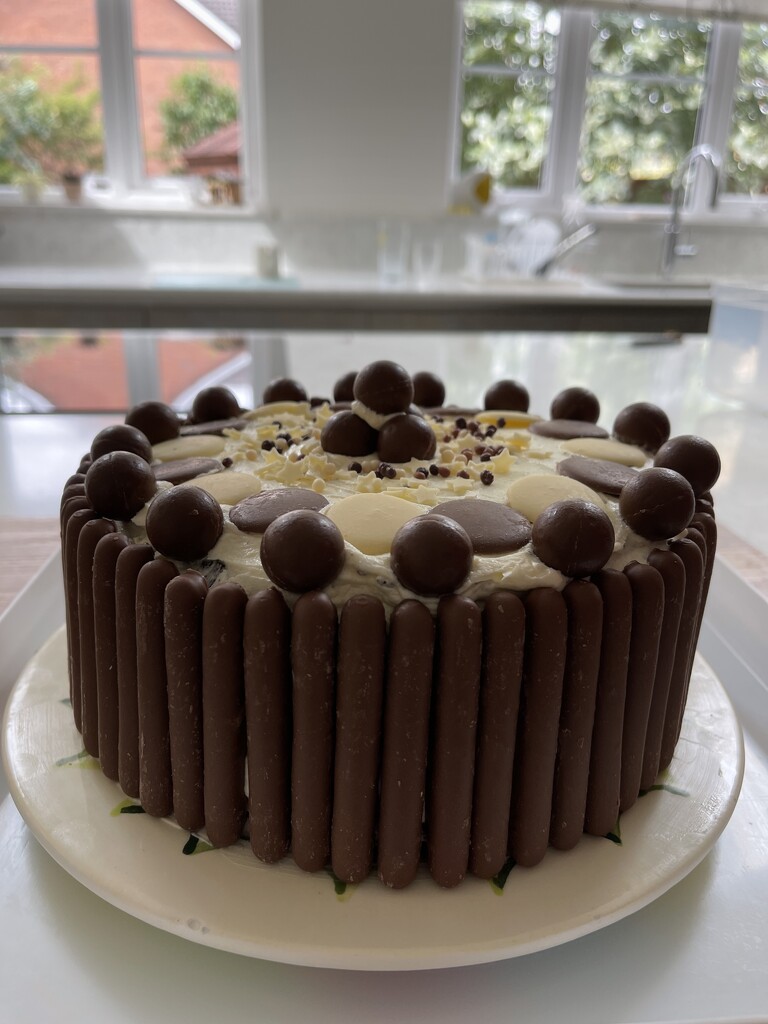 Chocolateyest birthday cake by tinley23