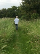 20th Jun 2021 - A walk through the meadow