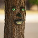Face on tree by acolyte