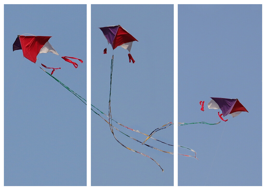 Let's go fly a kite triptych #2 by elza