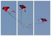 16th Jul 2021 - Let's go fly a kite triptych #2