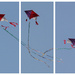 Let's go fly a kite triptych #2 by elza