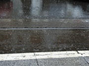 7th Jul 2021 - Rain - Waiting for the Tram