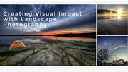 16th Jul 2021 - Creating Visual Impact