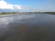 13th Jul 2021 - Low Tide on the River