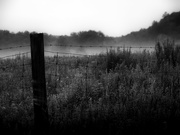 14th Jul 2021 - morning mist by the fence post