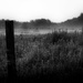 morning mist by the fence post by northy
