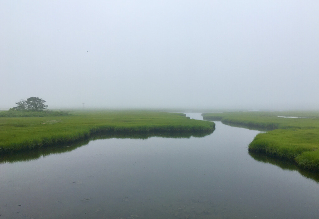Salt Marsh on a Foggy Day by radiodan