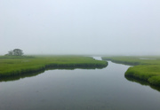 17th Jul 2021 - Salt Marsh on a Foggy Day