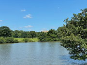 17th Jul 2021 - Belvoir Castle and lake