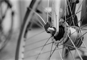 16th Jul 2021 - Bicycle wheel