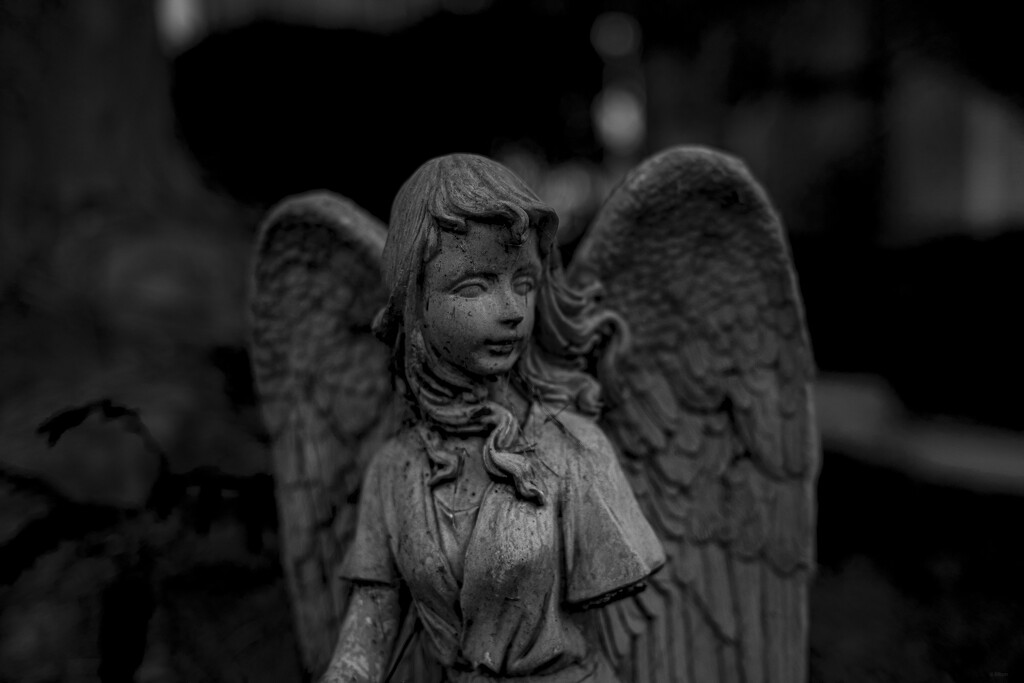 Broken Angel by ramr