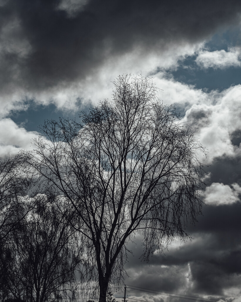 Ominous Sky by nickspicsnz