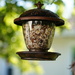 Sliced almonds in bird feeder by acolyte