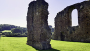 18th Jul 2021 - Beauvale Priory.