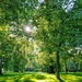 Green Park morning by boxplayer