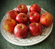 18th Jul 2021 - A plate of Gala Apples