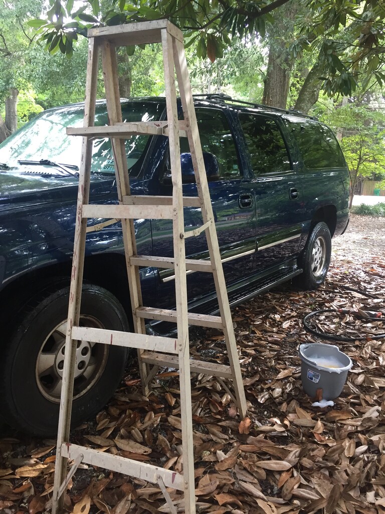 When you need a ladder to wash the car by margonaut