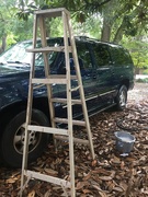 17th Jul 2021 - When you need a ladder to wash the car