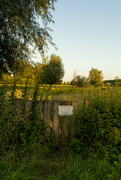 18th Jul 2021 - The gate at sunset