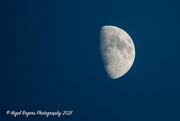 18th Jul 2021 - tonights moon