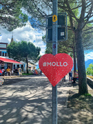 18th Jul 2021 - #mollo with a heart. 